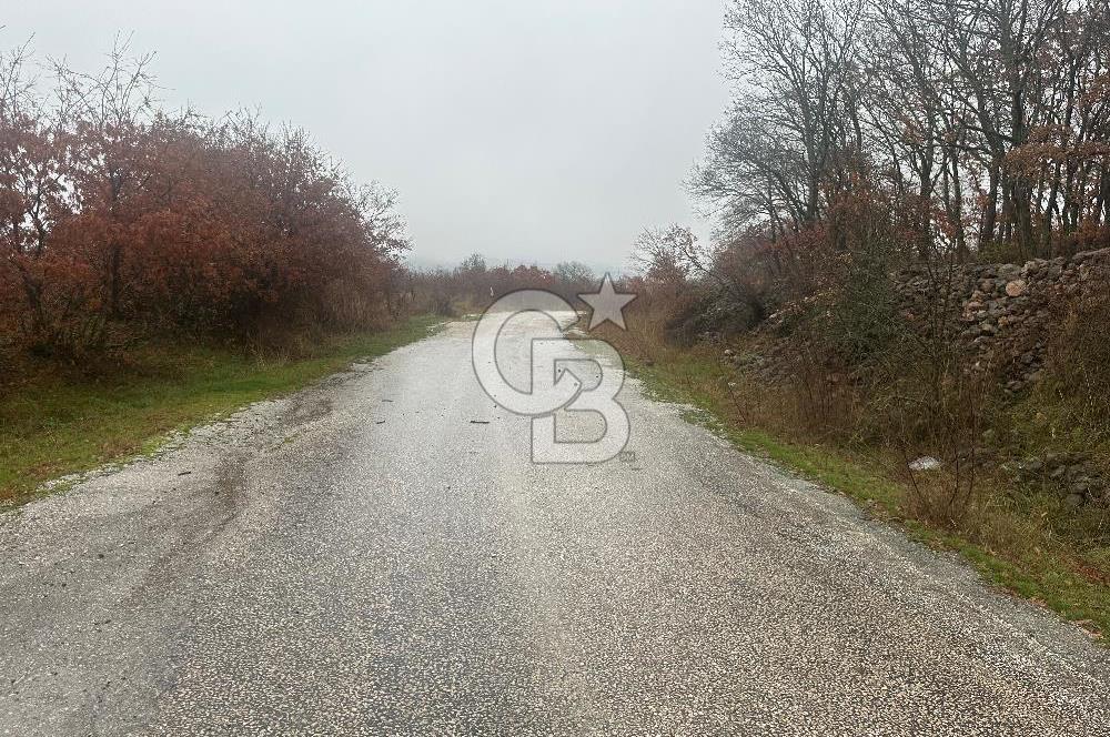 Satılık Tarla Çanakkale Çan Şerbetli 82875m² Yatırım - Görsel 4