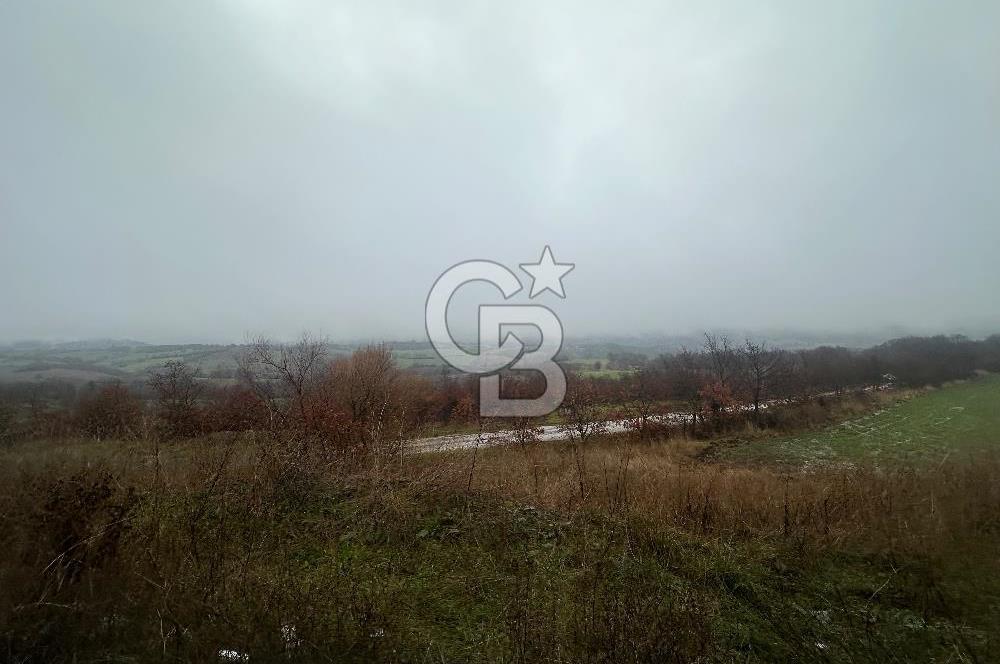 Satılık Tarla Çanakkale Çan Şerbetli 82875m² Yatırım - Görsel 5