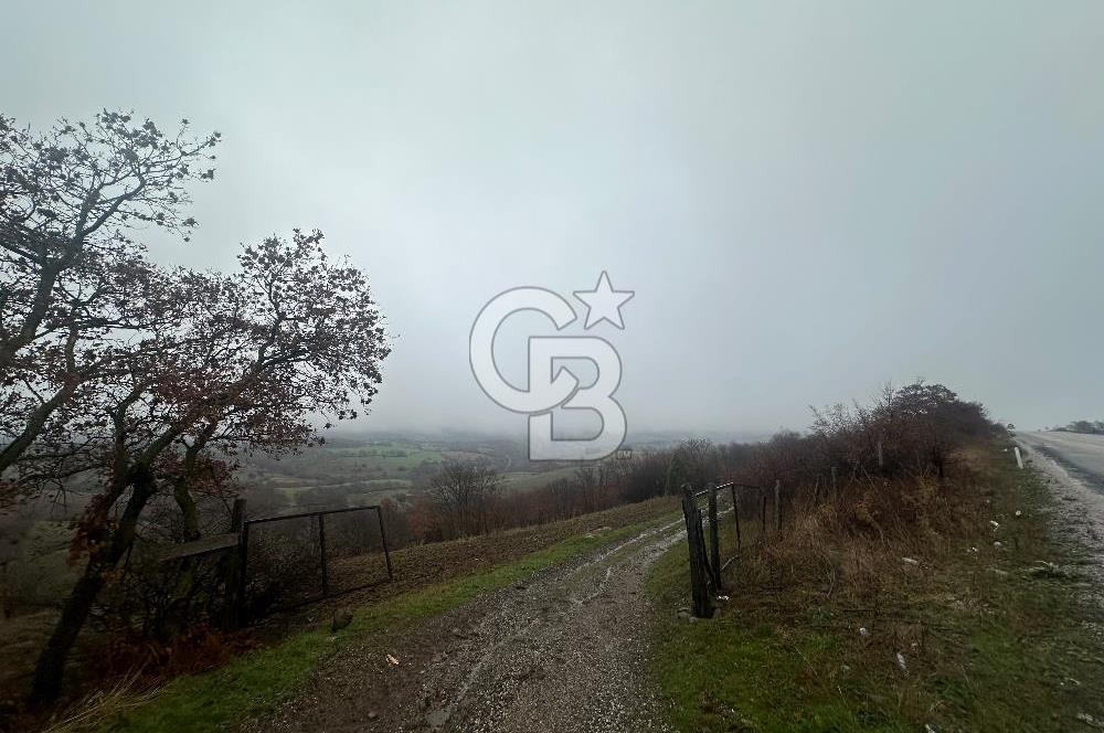 Satılık Tarla Çanakkale Çan Şerbetli 82875m² Yatırım - Görsel 6