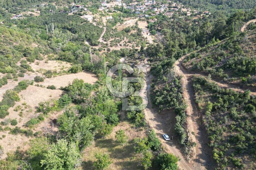 Satılık Bahçe Bayramiç Toluklar, Dere Kenarı 4351 m² Fırsat