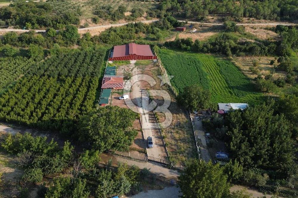 Çanakkale Merkez Saraycık Köyü Satılık 4.781 M² Arazi!