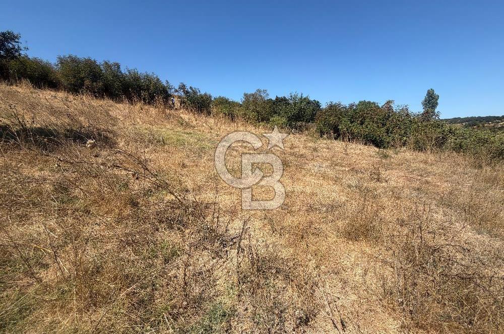 Satılık Bahçe | Çanakkale Çan Duman Köyü 512 m2 - Görsel 11