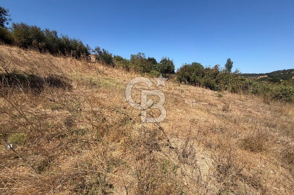 Satılık Bahçe | Çanakkale Çan Duman Köyü 512 m2 - Görsel 10