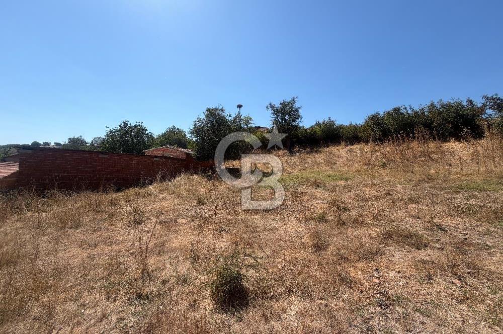 Satılık Bahçe | Çanakkale Çan Duman Köyü 512 m2 - Görsel 9