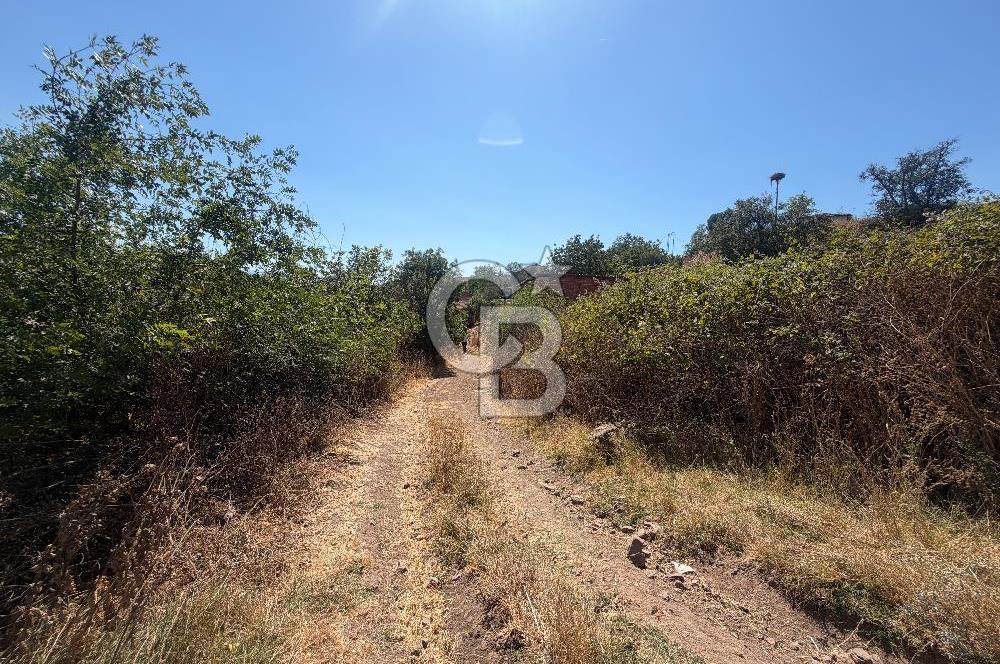 Satılık Bahçe | Çanakkale Çan Duman Köyü 512 m2 - Görsel 5