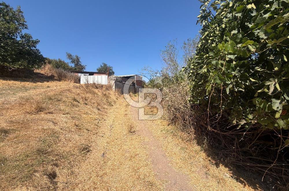 Satılık Bahçe | Çanakkale Çan Duman Köyü 512 m2 - Görsel 4