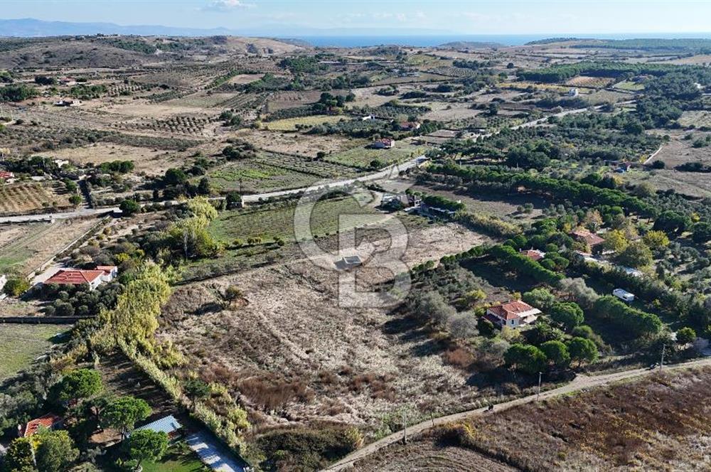 Satılık Tarla Bozcaada Papazbahçe | 10.057 m² Deniz... - Görsel 9
