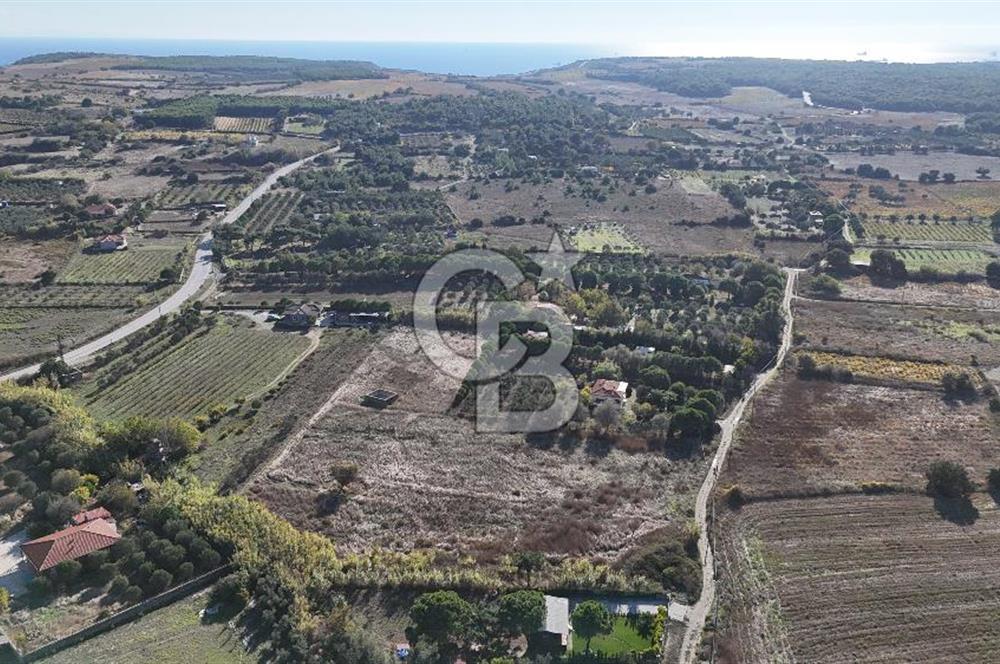 Satılık Tarla Bozcaada Papazbahçe | 10.057 m² Deniz... - Görsel 10