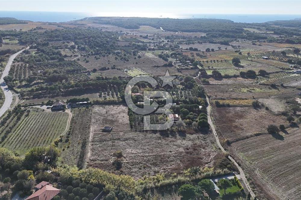 Satılık Tarla Bozcaada Papazbahçe | 10.057 m² Deniz... - Görsel 11