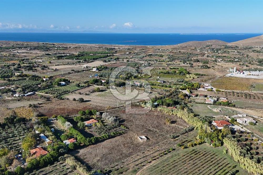 Satılık Tarla Bozcaada Papazbahçe | 10.057 m² Deniz... - Görsel 2