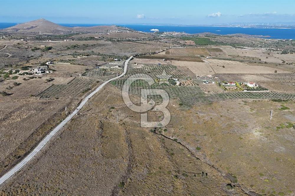 Satılık Tarla Bozcaada Alaybey'de 6.204 m² Geniş Arazi - Fotoğraf 1