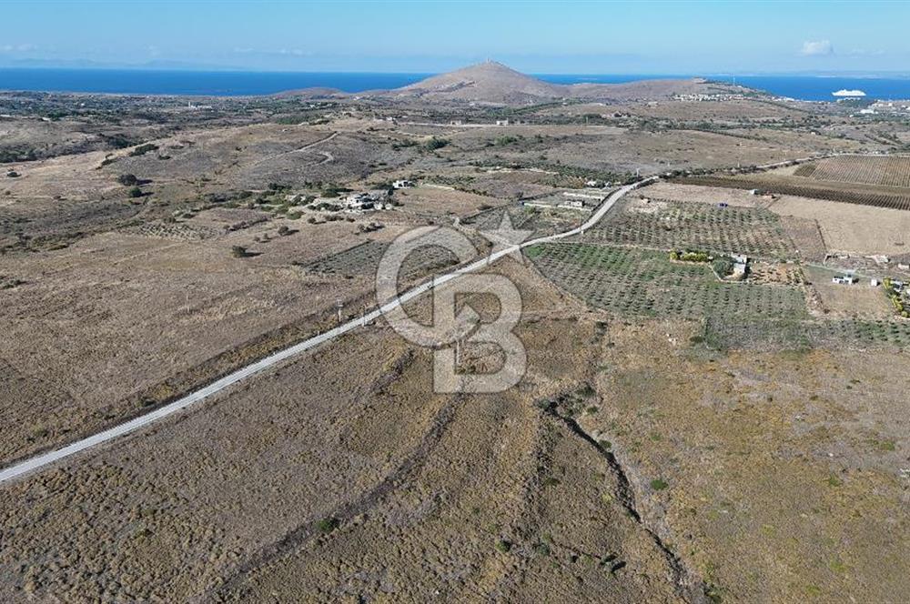 Satılık Tarla Bozcaada Alaybey'de 6.204 m² Geniş Arazi - Görsel 5