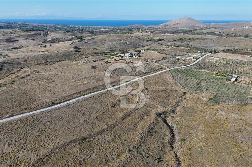 Satılık Tarla Bozcaada Alaybey'de 6.204 m² Geniş Arazi - Görsel 6