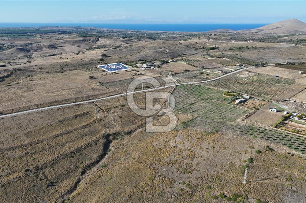 Satılık Tarla Bozcaada Alaybey'de 6.204 m² Geniş Arazi - Görsel 2