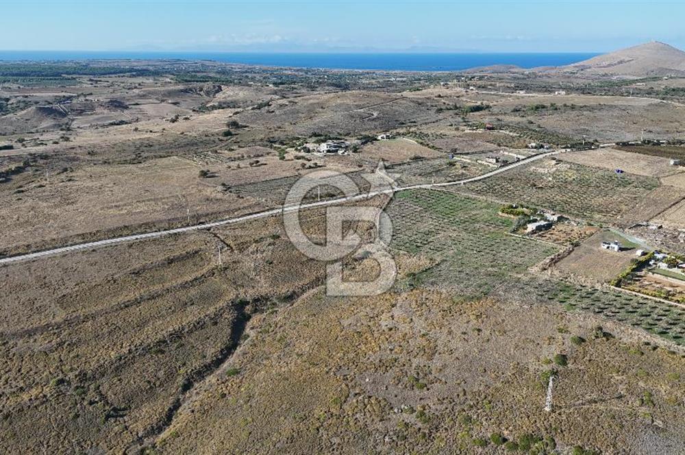 Satılık Tarla Bozcaada Alaybey'de 6.204 m² Geniş Arazi - Görsel 7