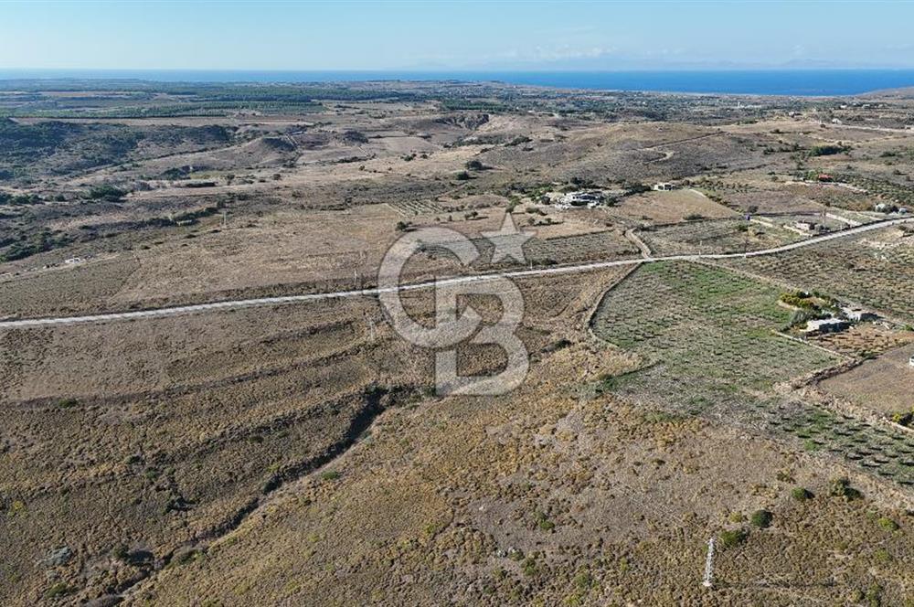 Satılık Tarla Bozcaada Alaybey'de 6.204 m² Geniş Arazi - Görsel 8