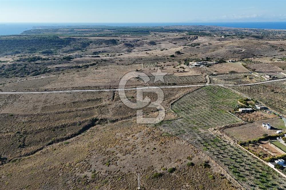 Satılık Tarla Bozcaada Alaybey'de 6.204 m² Geniş Arazi - Görsel 9