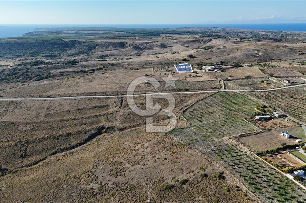 Satılık Tarla Bozcaada Alaybey'de 6.204 m² Geniş Arazi - Görsel 3