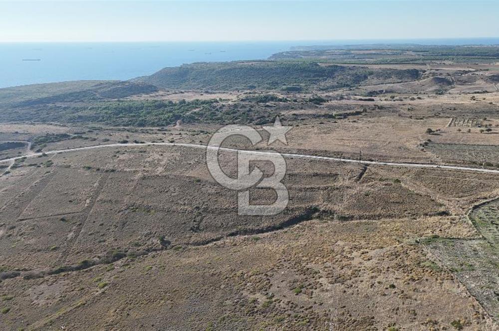 Satılık Tarla Bozcaada Alaybey'de 6.204 m² Geniş Arazi - Görsel 4