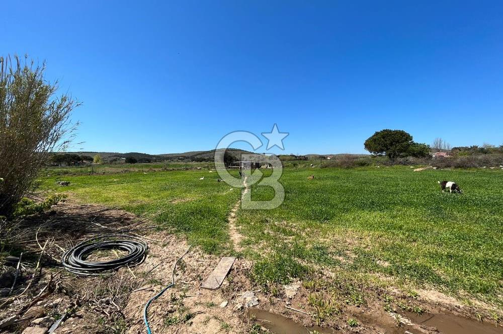 Satılık Bozcaada Kemerbaşı Asfalt Cepheli Tarla 3872m² Satılık Bozcaada Kemerbaşı Asfalt Cepheli Tarla 3872m²