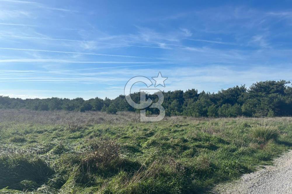 bozcaada cumhuriyet mahallesi denize yakın 14.387 m² satılık tarla bozcaada cumhuriyet mahallesi denize yakın 14.387 m² satılık tarla