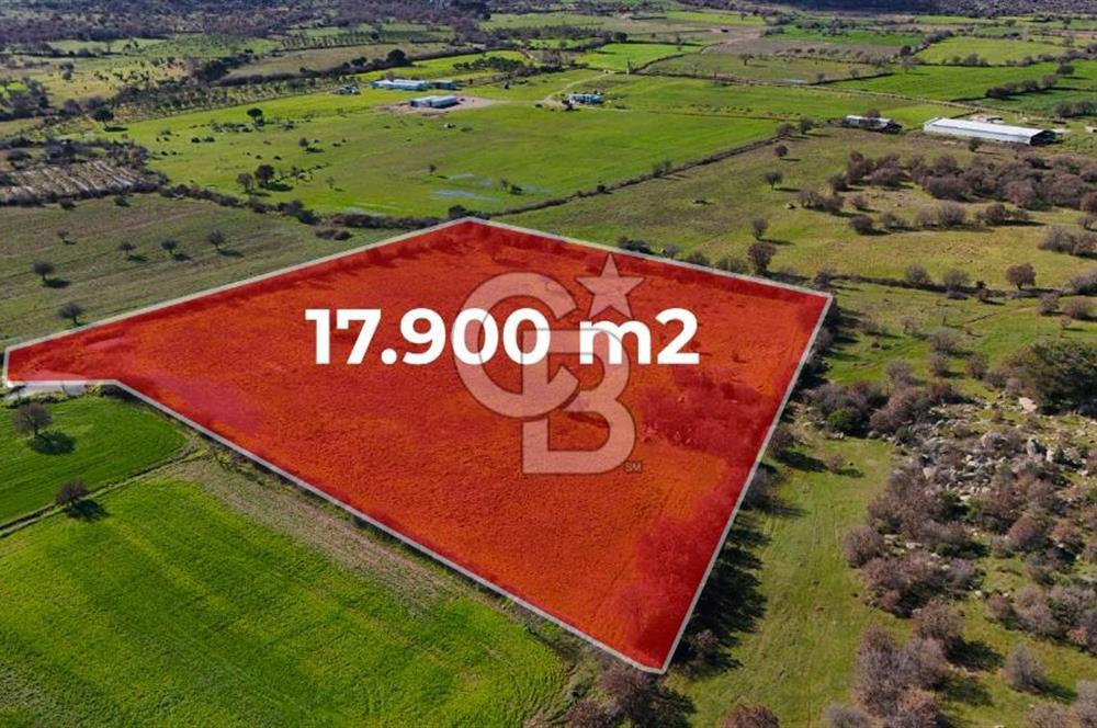çanakkale ezine yavaşlar köyü satılık 17.900 m² geniş tarla fırsatı çanakkale ezine yavaşlar köyü satılık 17.900 m² geniş tarla fırsatı