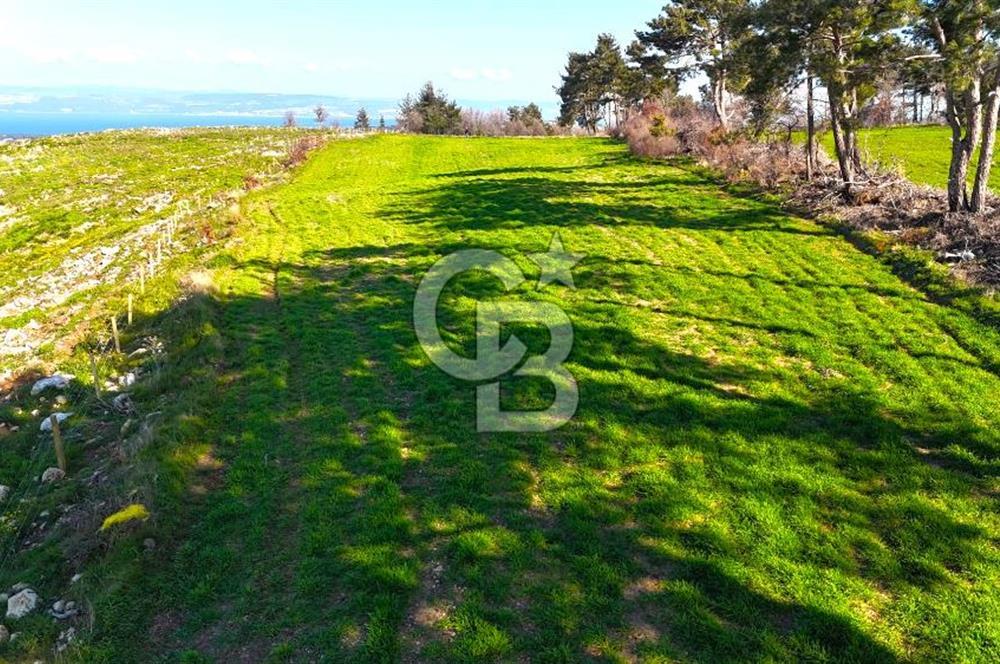 çanakkale kızılkeçilide full boğaz ve köprü manzaralı tarla | 4639 m² ada çanakkale kızılkeçilide full boğaz ve köprü manzaralı tarla | 4639 m² ada
