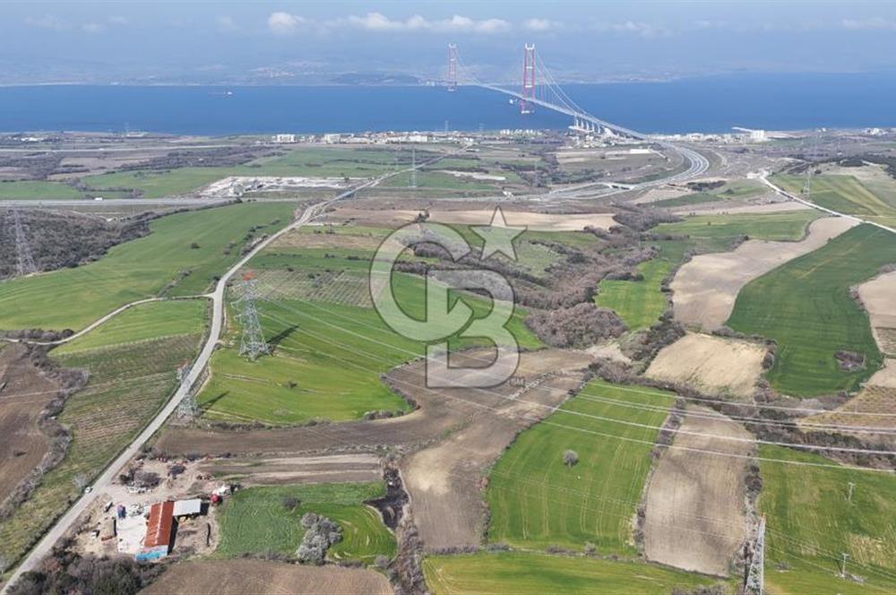 Satılık Tarla Lapseki Kocaveli: Köprü Manzaralı 24.000 m² Satılık Tarla Lapseki Kocaveli: Köprü Manzaralı 24.000 m²