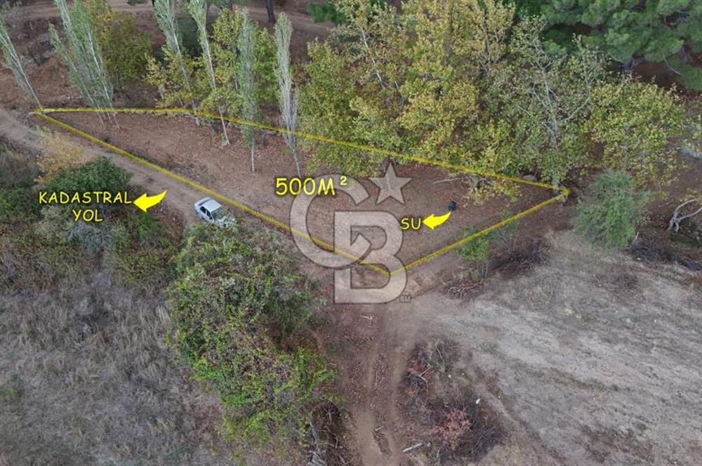 Satılık Çanakkale Bayramiç Karıncalık Köyü 500m² Tarla Satılık Çanakkale Bayramiç Karıncalık Köyü 500m² Tarla
