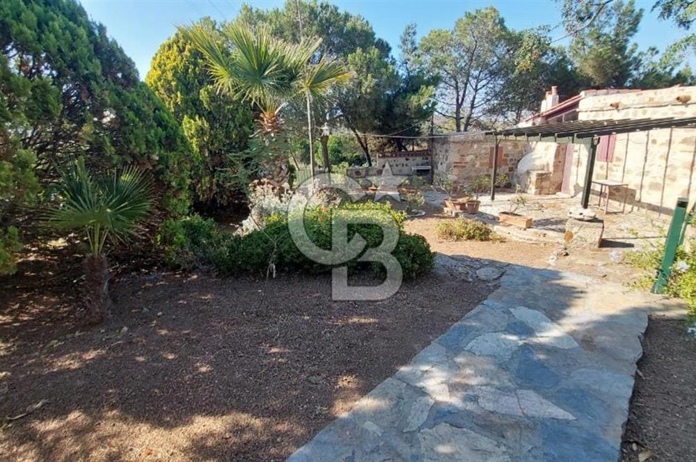 Satılık Bozcaada Bağ Evi: Denize 50m, Poyraz Liman Manzaralı Satılık Bozcaada Bağ Evi: Denize 50m, Poyraz Liman Manzaralı