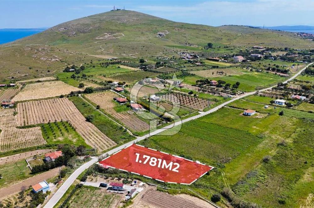 Satılık Bağ Bozcaada Cumhuriyet: 1781m² Deniz Manzaralı Satılık Bağ Bozcaada Cumhuriyet: 1781m² Deniz Manzaralı
