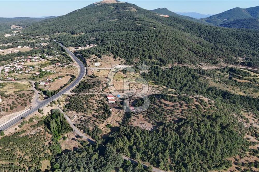 Kiralık Tarla Kirazlı Çanakkale 9500m² Eşsiz Fırsat Kiralık Tarla Kirazlı Çanakkale 9500m² Eşsiz Fırsat