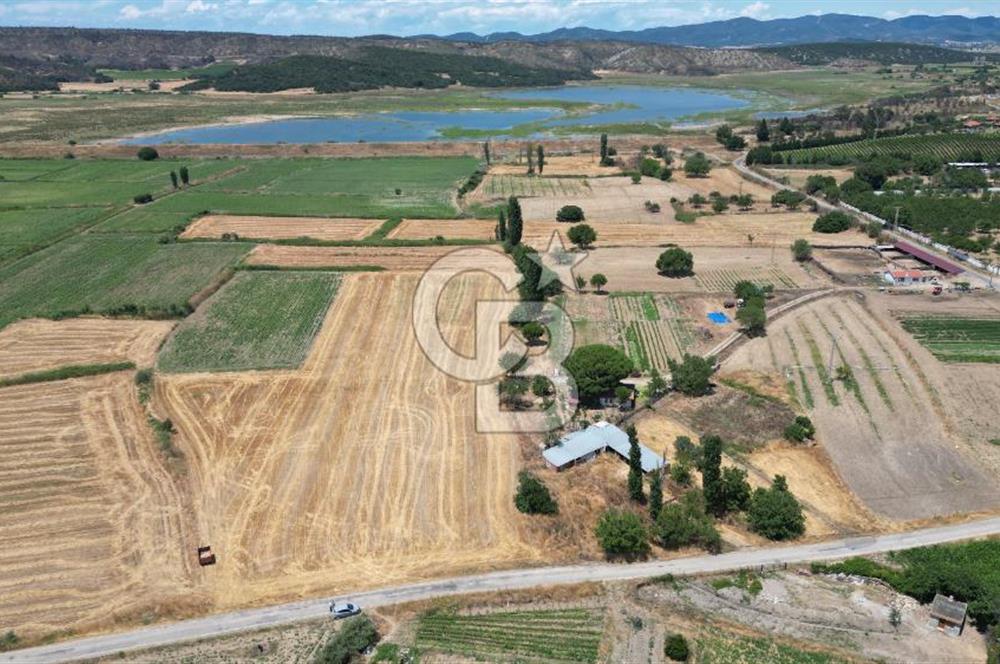 Asfalt Yola Cephe 6.063 m2 Satılık Tarla Asfalt Yola Cephe 6.063 m2 Satılık Tarla
