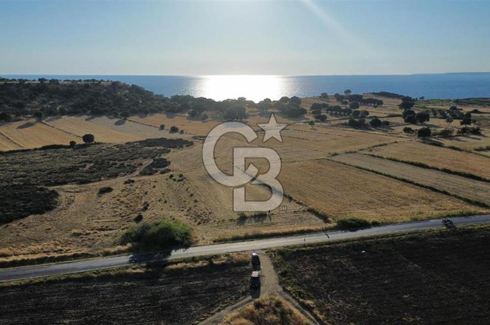 Satılık Tarla Ezine Akçakeçili 5293m² Asfalt Cepheli Satılık Tarla Ezine Akçakeçili 5293m² Asfalt Cepheli