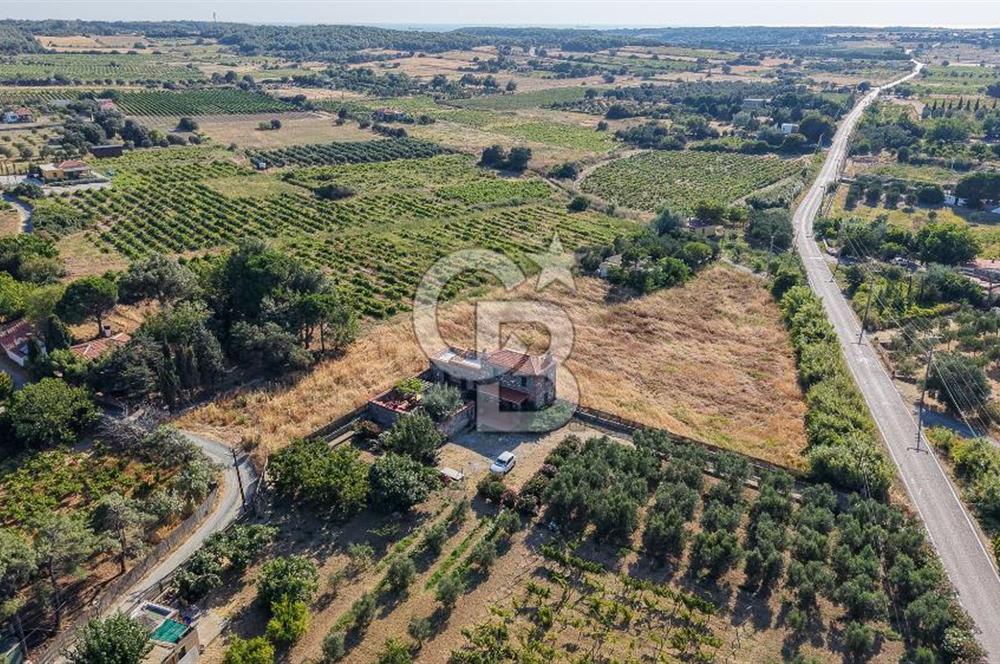 Satılık Bozcaada Bağ 4261m² Amerikan Çeşme Asfalt Cephe Satılık Bozcaada Bağ 4261m² Amerikan Çeşme Asfalt Cephe