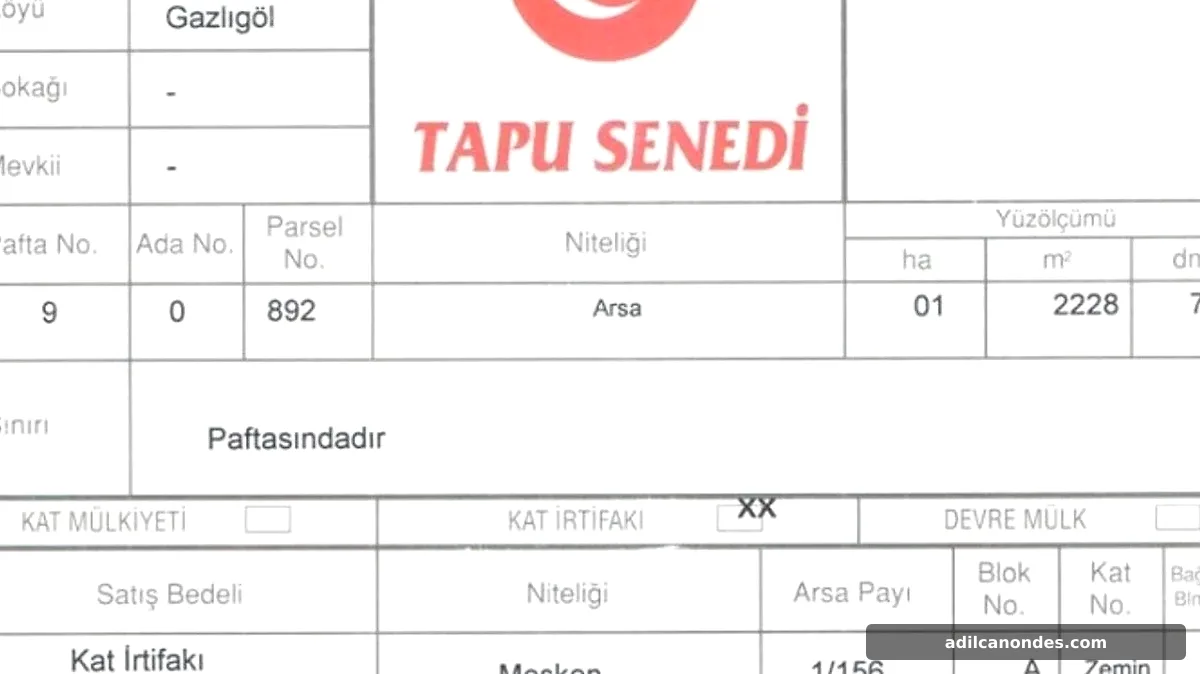 Tapu Alırken Gözden Kaçan Tehlikeler: Mülkünüzü Kaybetmeyin!