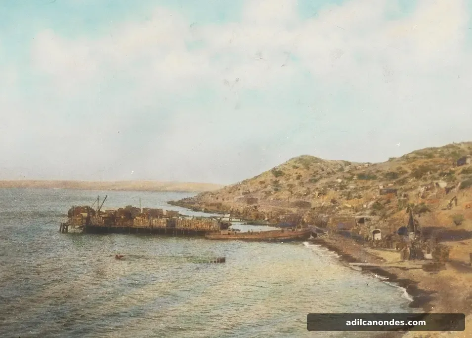 ANZAC Koyu 1915